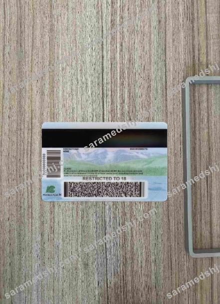 USA Colorado driving license 2022-present photolook BACK
